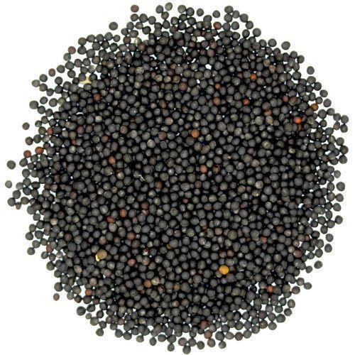 Rich Healthy Natural Taste FSSAI Certified Dried Black Pumpkin Seeds