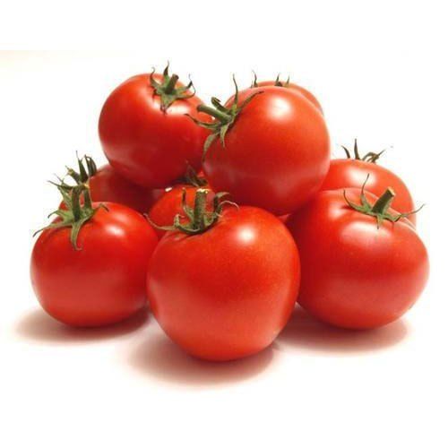 Round Shaped Fresh And Healthy Organic Indian Red Tomatoes Vegetables