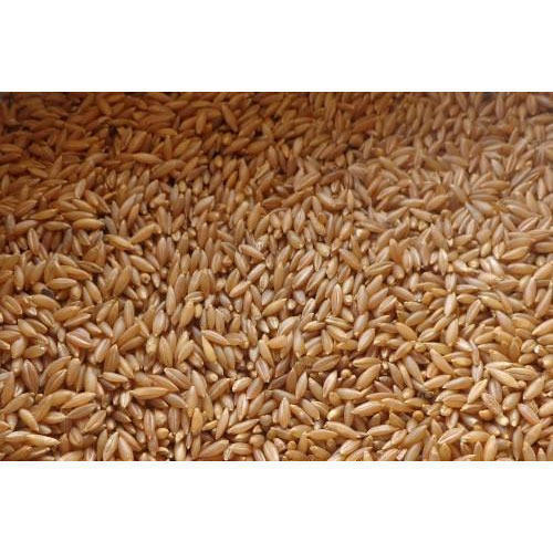 A Grade And Healthy Gluten-Free Brown Medium-Grain Bamboo Rice