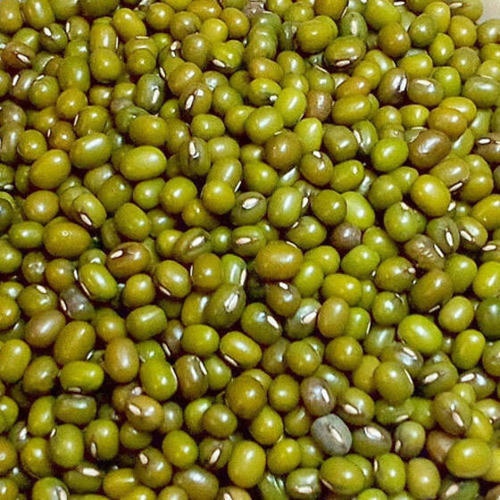 Green Color Organic Whole Moong Dal With High In Protein And 6-12 Months Shelf Life