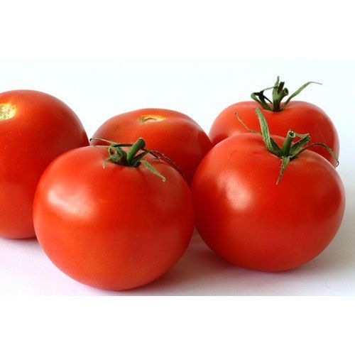 Organically Grown Pure Red Colour Tomato With Immunity Booster Properties And 6-7 Day Shelf Life