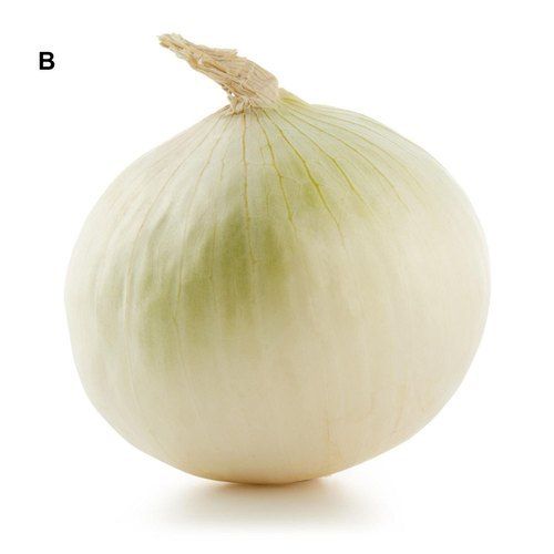 Tender White Organically Grown White Onion And Rich In Vitamins, Minerals, 7 Days Shelf Life Texture: Dried