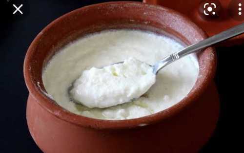 Curd Products