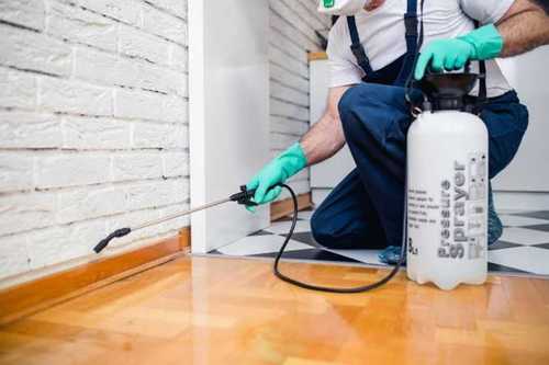 Pest Control Services for Residential And Commercial Buildings By Sp Pest Control