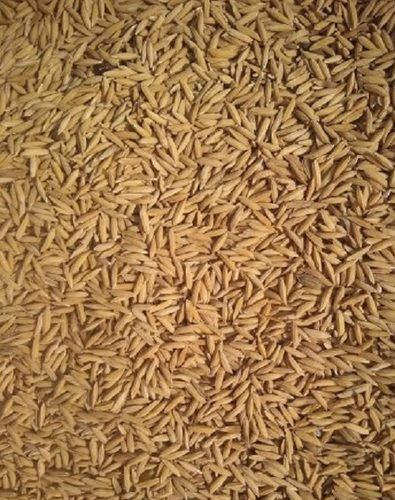 Tasty And Healthy Long Grain Paddy Rice Without Gluten Grain High In Protein