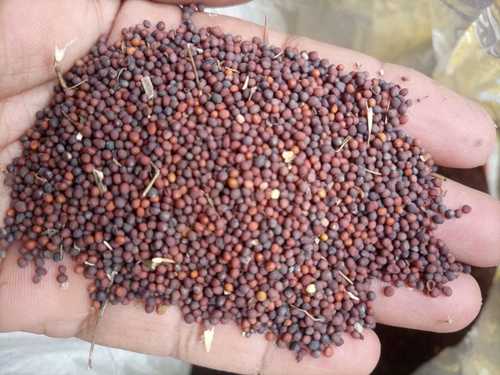 Toasted To Add To Dishes, Make Dishes More Delicious And Tasty, Black Mustard Seeds