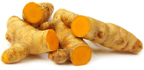 100% Pure Natural Organic And Fresh Yellow Turmeric Root For Cooking