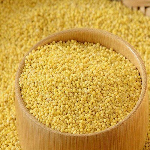 Export Quality Dried And Cleaned Organic Yellow Foxtail Millet