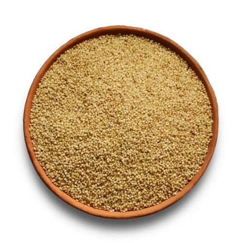 Export Quality Golden Cleaned Organic Unpolished Kuthiraivali Barnyard Millet Fat: 1.7  Milligram (Mg)