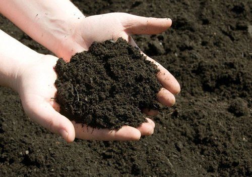 Vermicompost Fertilizer Used In Agriculture Sector (10-20% Moisture)