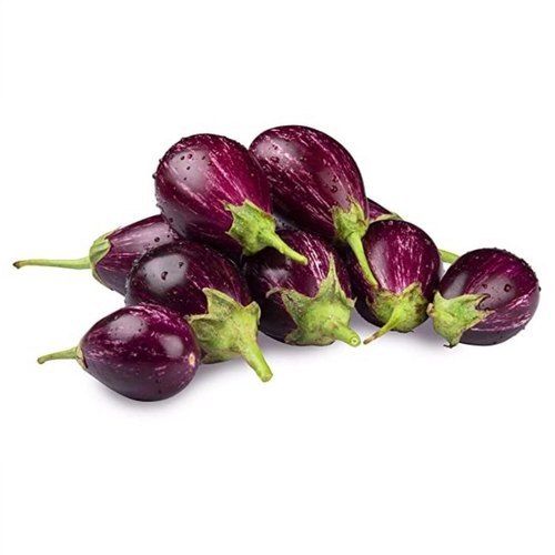 Wholesale Price A Grade Organic Farm Fresh Brinjal For Vegetables