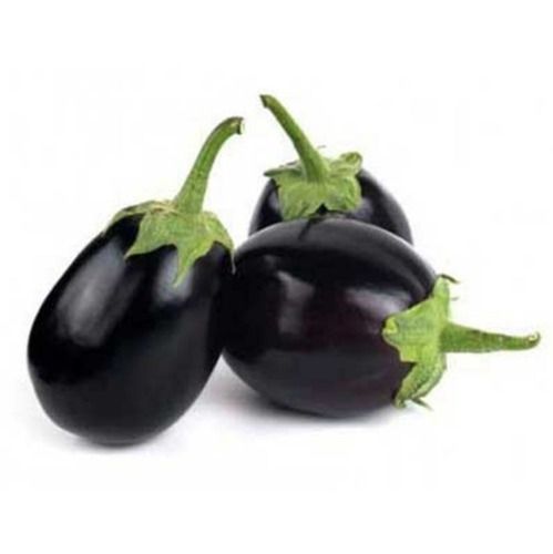 Farm Fresh Vitamins And Minerals Rich Organic And Healthy Brinjal With Low In Calories And Cholesterol