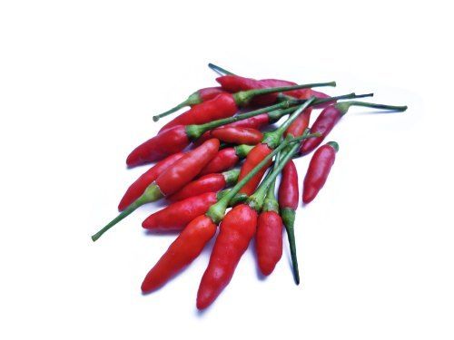 Natural Fresh Red Bird Eye Chilli For Cooking