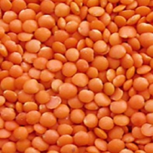 Non Polished Dried And Clenaed Pure Organic Masoor Dal With 100% Purity Admixture (%): 0.9%