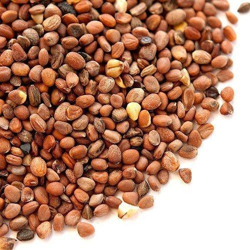 A Grade Natural And Organic Radish Seeds For Kitchen Garden