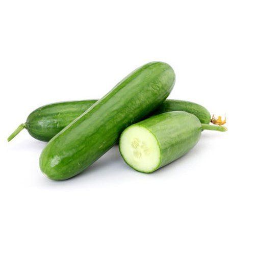 Long Healthy Green Colour Fresh Pure Vitamins Nutrients Rich Tender Cucumber With High In Water Level