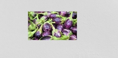 A Grade Vitamin A And Vitamin C And K Fresh Purple Fresh Rich In Dietary Fiber Brinjal 