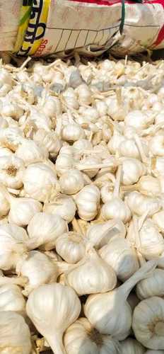 High Nutritional Value Natural Taste No Added Preservatives Healthy And Dried White Fresh Garlics (20 Mm)