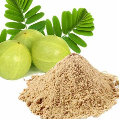 Chemical Free 100% Natural & Pure Herbal Dry Amla Powder For Medicine Ingredients: Herbs