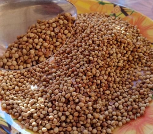 Fresh And 100% Organic Pesticide-Free Brown Dried Coriander Seeds