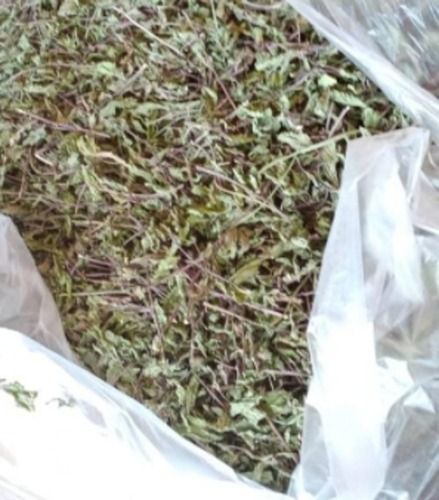 Fresh And Organic Green Herbal Dried Mint Leaves (Pudina Patta) , 1kg 