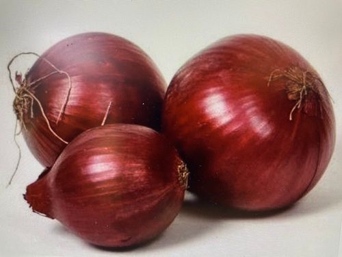 Fresh Red Onion For Human Consumption, Round Shape And Natural Taste