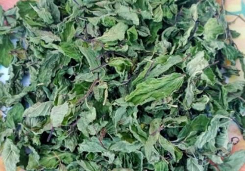 Green Herbal Dried Mint Leaves With A Cool And Refreshing Taste, 1kg