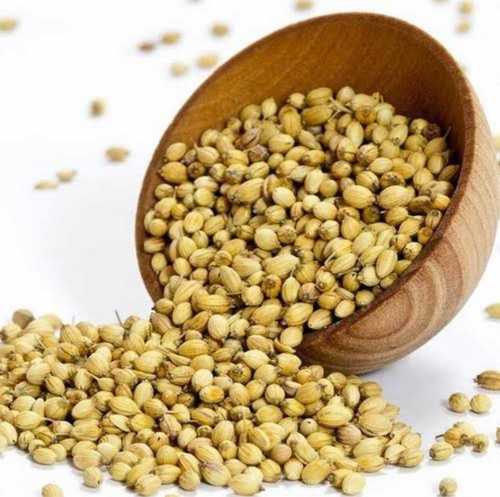 Rich In Taste Food Grade Sack Whole Coriander Seeds For Cooking Usage