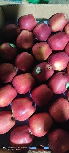  पचाने में आसान स्वस्थ और पौष्टिक मुंह में पानी लाने वाला स्वाद लाल ताजा सेब