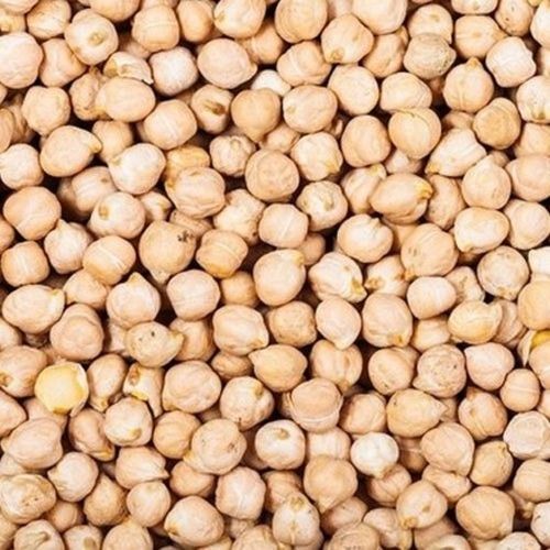 Organic White Chana With 12 Months Shelf And Rich Health Benefits, 2 Inch Size