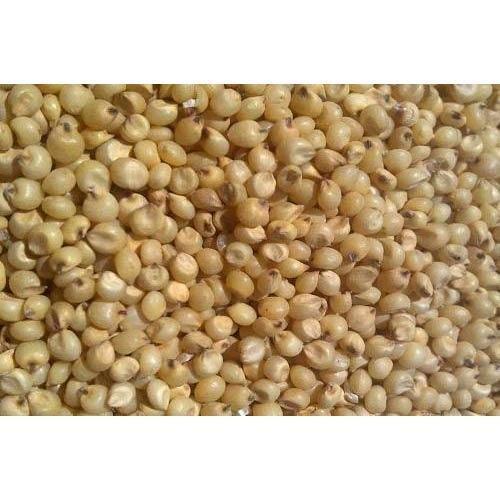 100% Pure And Organic Agro Food Yellow Jower, High In Protein