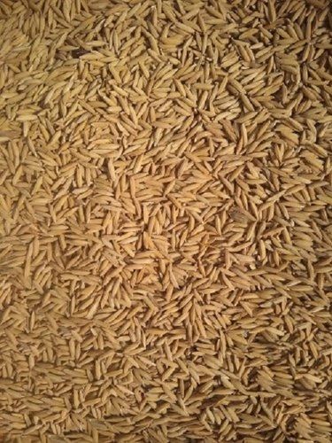 Brown 100% Pure And Organic Short Grain Paddy Rice For Cooking, High In Protein