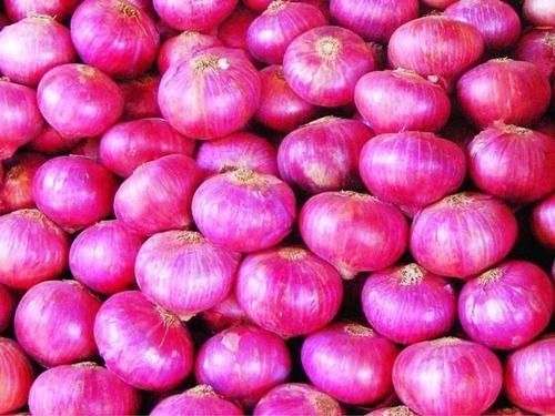 A Grade And Indian Origin Fresh Red Onion With High Nutritious Values Moisture (%): 86%