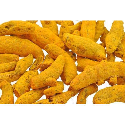 Chemical Free Antioxidant Rich Natural Taste Healthy Yellow Turmeric Finger