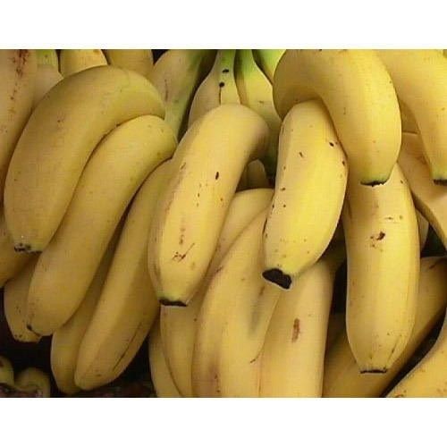100% Organic Farm Fresh Tasty And Nutritious Banana, Rich In Potassium