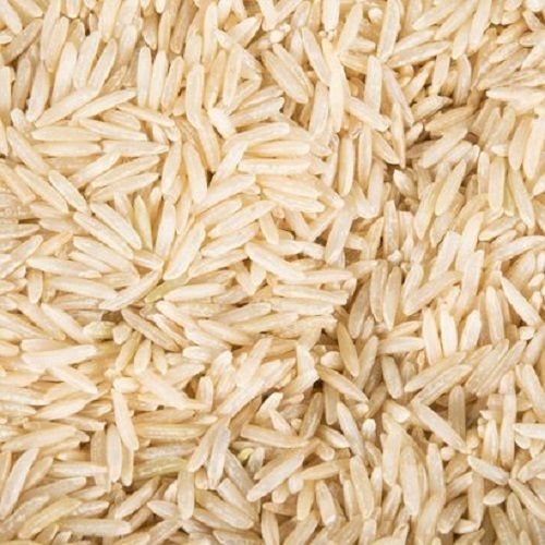 95% Pure Solid Organic Cultivation Long Grain Size 1% Broken Basmati Rice