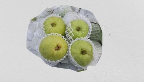 A Grade Round 6-Inch Pure Healthy Sweet And Testy Fresh Green Guava