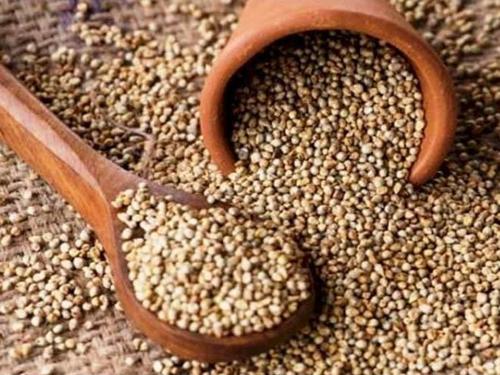 Export Quality Natural Pure Dried And Cleaned Brown Organic Bajra Seeds