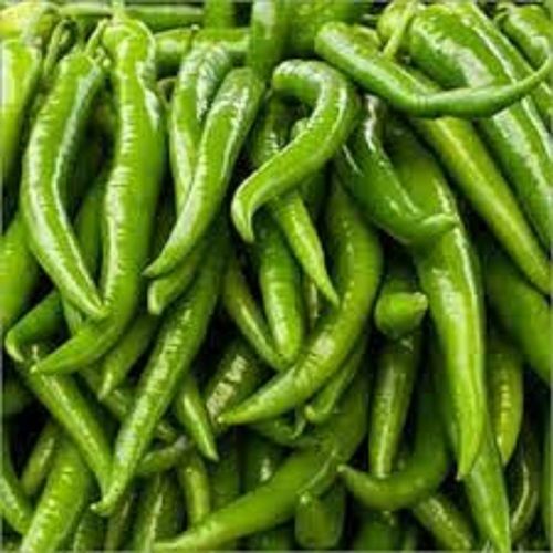 Wholesale Price 100% Natural Fresh Organic Green Chillies, 1Kg Pack Moisture (%): 5