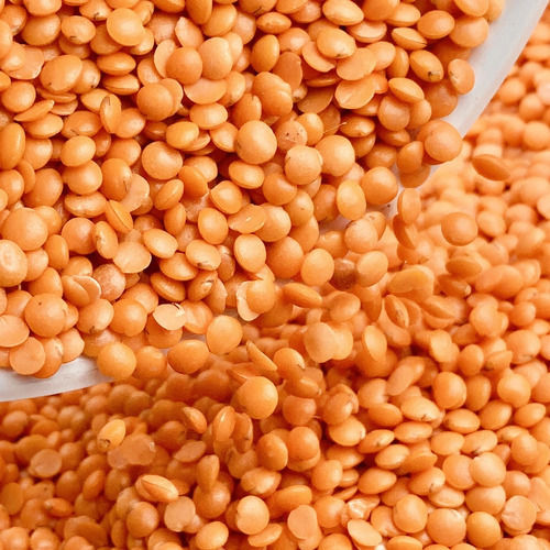 Fresh Organic Whole Red Masoor Dal 100% Vegetarian For Meals And Snacks