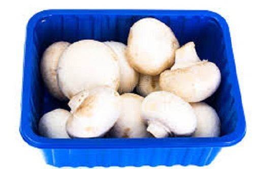 100% Healthy And Natural Fresh Organic White Color Mushroom, High In Protein Processing Type: Raw