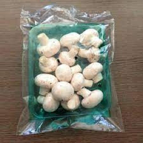 100% Natural White Color Fresh Mushroom, Good For Health Have High Nutritional Processing Type: Raw