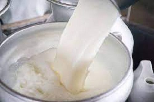  100% शुद्ध प्राकृतिक और ताज़ा भैंस का दूध, हड्डियों और शरीर के लिए स्वादिष्ट स्वास्थ्यवर्धक 