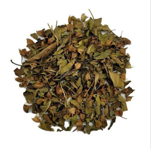  ताजा और स्वादिष्ट हर्बल MH01 तुलसी हरी चाय की पत्तियां, बैग