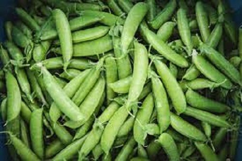 No Artificial Color Rich Taste Good For Health Pesticide Free Organic Green Peas Admixture (%): 99.8%