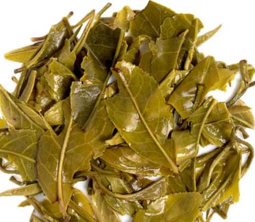 Rich Taste Fresh And Natural Green Tea Leaves, Packet Bag Sugar Content: Low Sugar