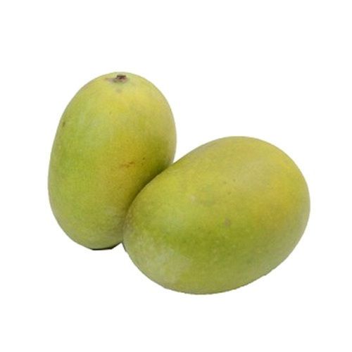 100% Organically Grown Healthy & Fresh Variety Of Langra Mango