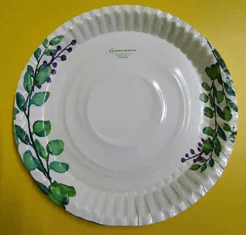 12 inch White Disposable Plate