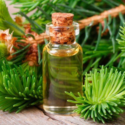 A Grade Pure And Fresh Needle Essential Oil Ingredients: Herbal Extract