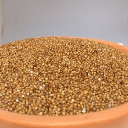 Nutrients Rich Organic A Grade And Brown Colour Kodo Millet